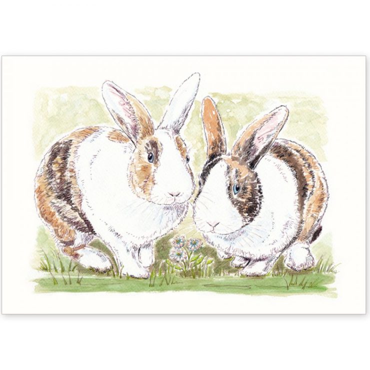 Alfie and Ernie the Rabbit Brothers