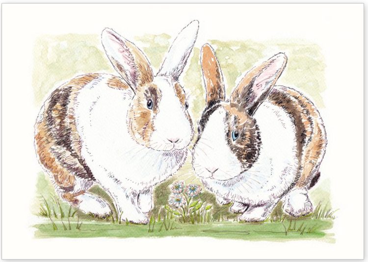 Pet Portrait of Rabbits Alfie and Ernie