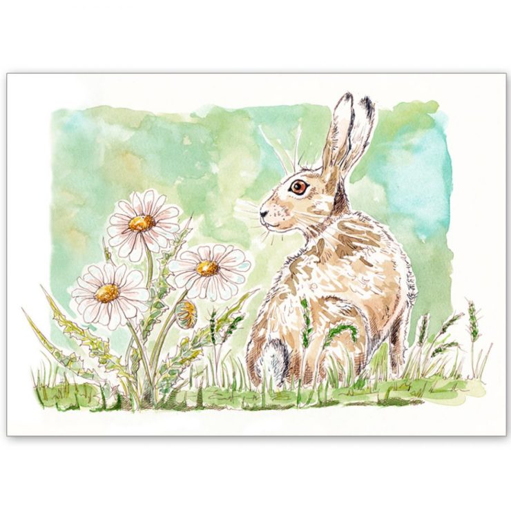 Hare and Daisies - Card and Print