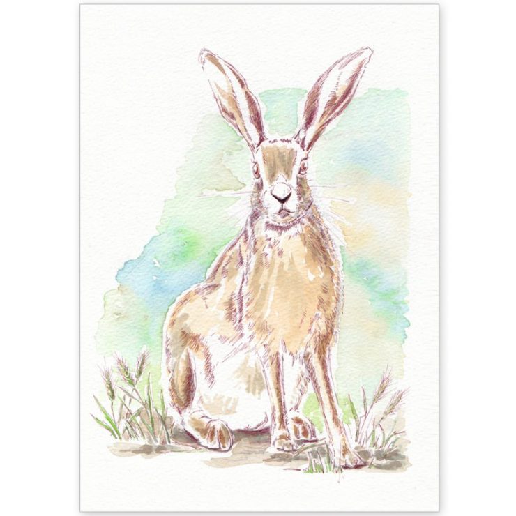 Norfolk Hare - Card and Print