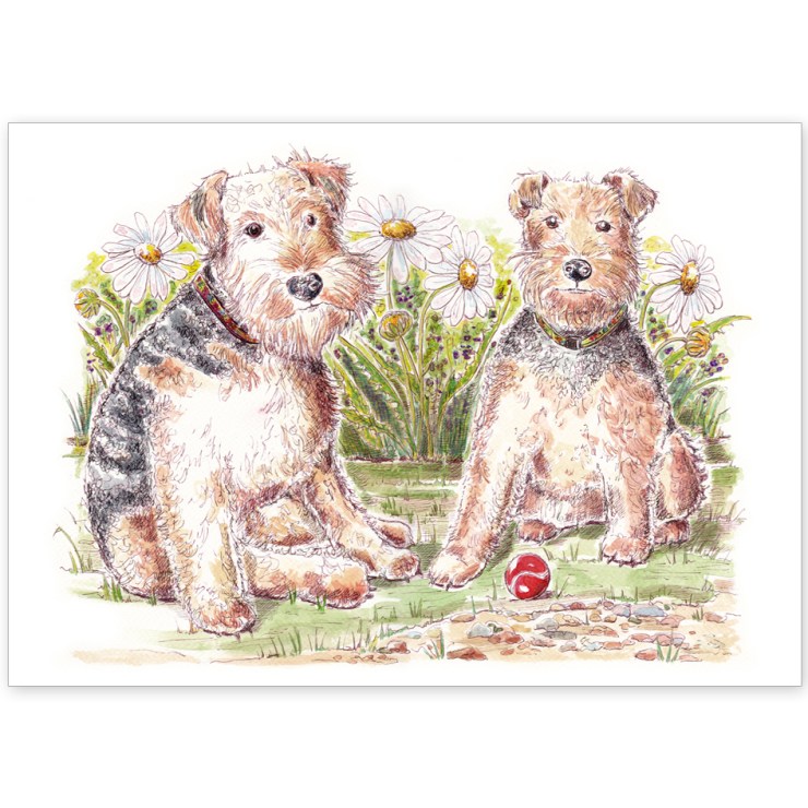 Welsh Terriers with Daisies – Greeting Card