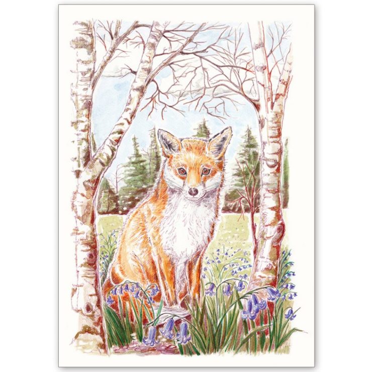Fox and Bluebells - Card and Print