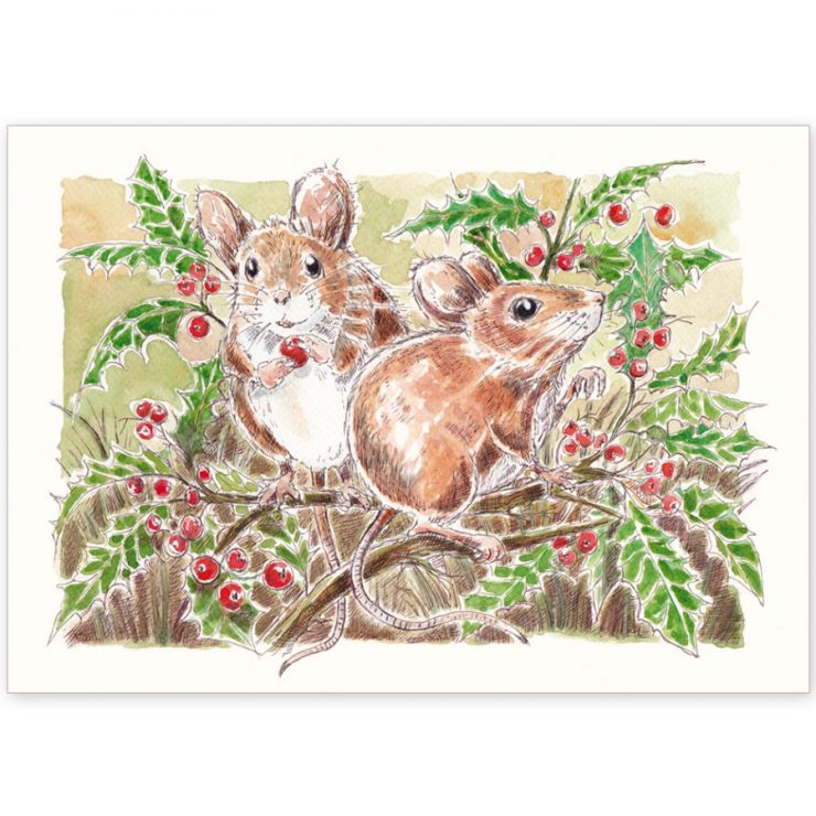 Field Mice and Holly