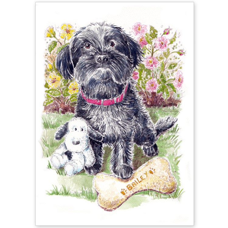 Pet Portrait - Bailey Goodson the Yorkipoo with Favourite Toys