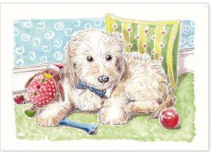 Pet Portrait - Boris the Cockerpoo