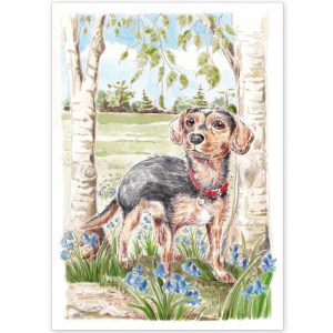 Pet Portrait - Dudley, Crossbreed, in the Park