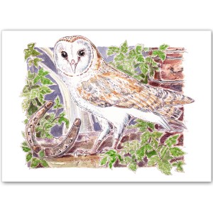 Norfolk Barn Owl