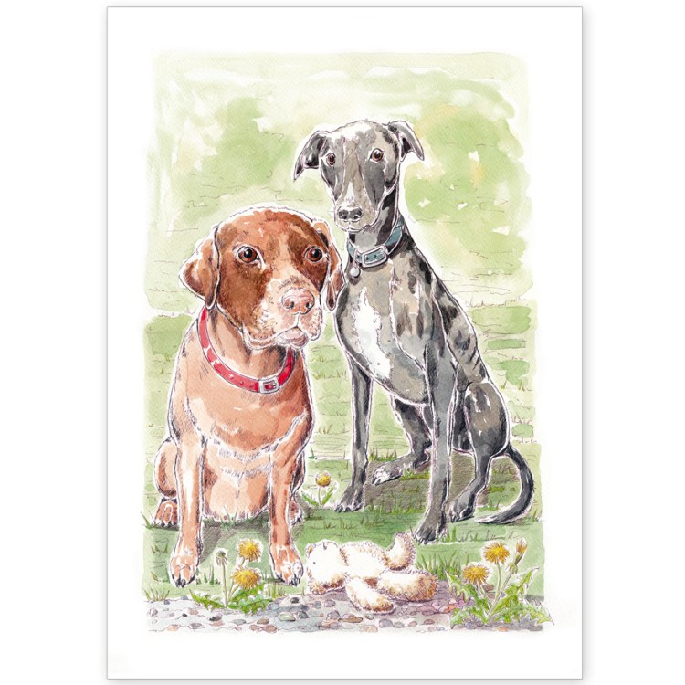 Pet Portrait - Benji and Brooke, Chocolate Labrador and Lurcher
