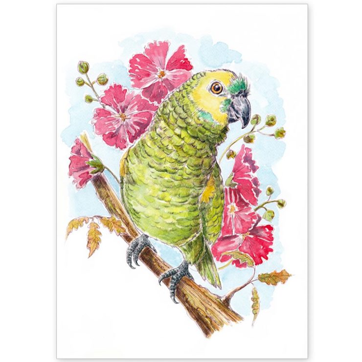 Parrot with Hibiscus flowers