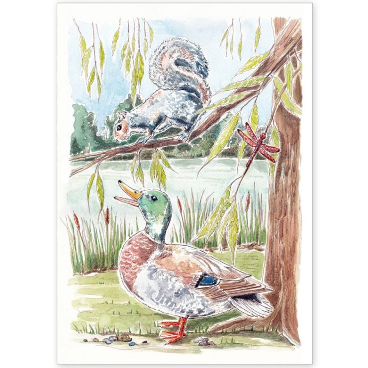 Squirrel and Duck