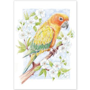 Parrot with Apple Blossom