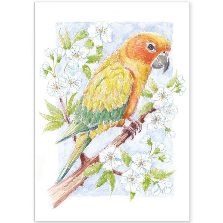 Parrot with Apple Blossom