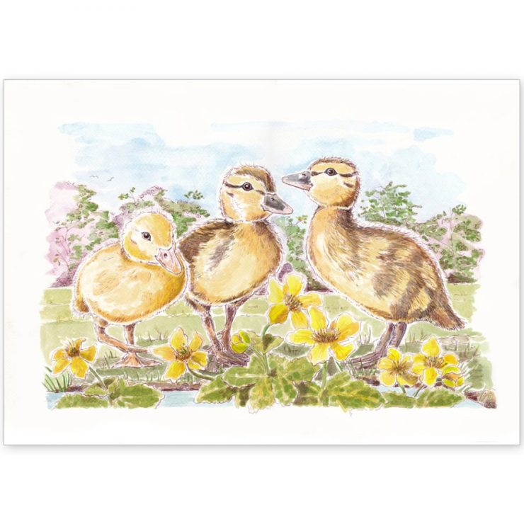 Duckling Trio - Card or Print