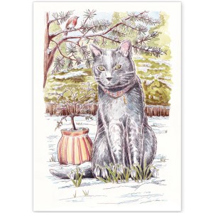 Grey Cat and Robin in Snow - Greeting Card