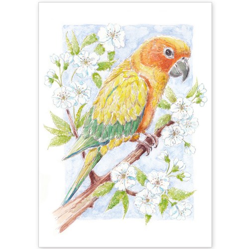 Pet Portrait -Kiki the Parrot and Apple Blossom