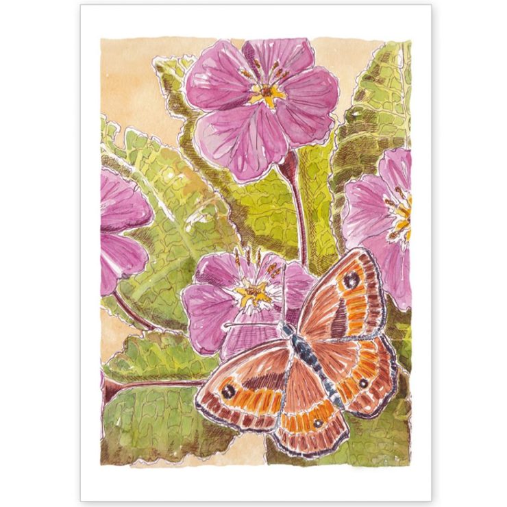 Primrose and Butterfly