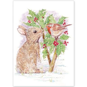 Rabbit Baby and Robin