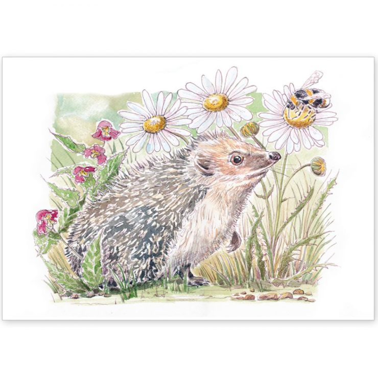 Hedgehog and Bee - Card or Print