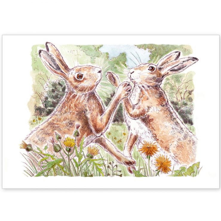 Boxing Norfolk Hares