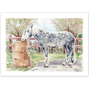 Dappled Grey Horse - Greeting Card